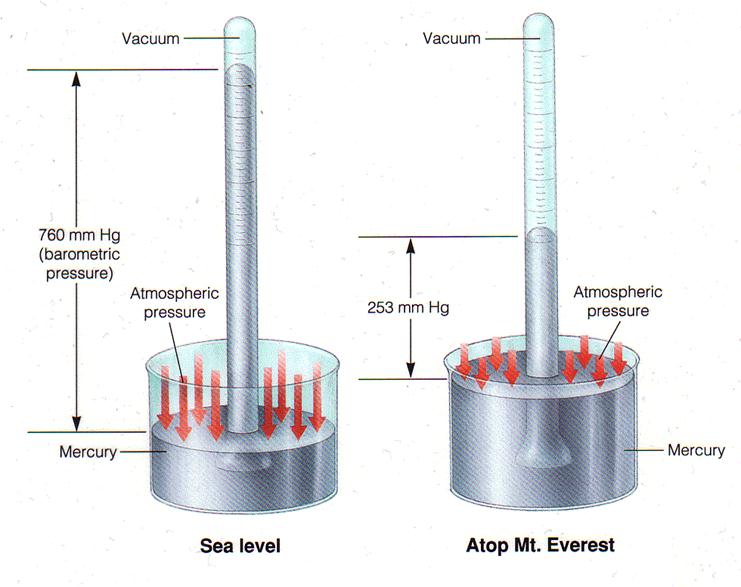 states of matter