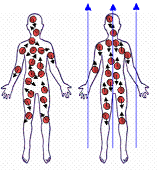 medical physics