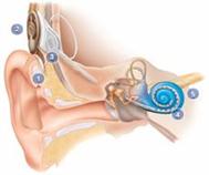 medical physics