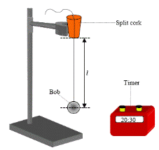 simple armonic motion and hooke law