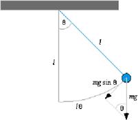 simple armonic motion and hooke law